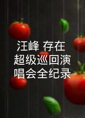 汪峰“存在”超级巡回演唱会全纪录海报封面图