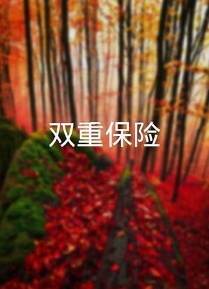 双重保险海报封面图