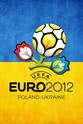 强尼·海廷加 2012年欧洲杯足球赛
