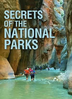 国家公园的秘密 第一季海报封面图