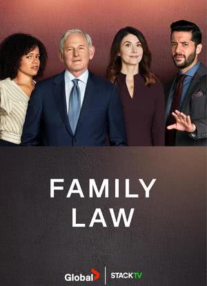 家庭法 第一季海报封面图