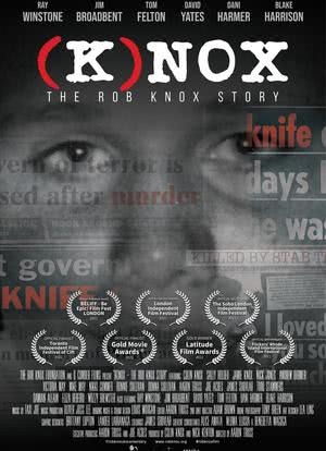 （K） 诺克斯：罗伯·诺克斯的故事海报封面图