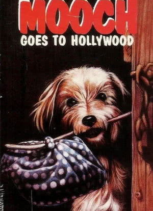 一条流浪狗带你游遍好莱坞海报封面图