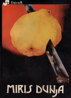木瓜的芳香海报封面图