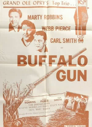 Buffalo Gun海报封面图