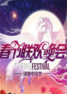 2013湖南卫视春节联欢晚会海报封面图