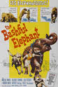 巴迪·贝尔 The Bashful Elephant