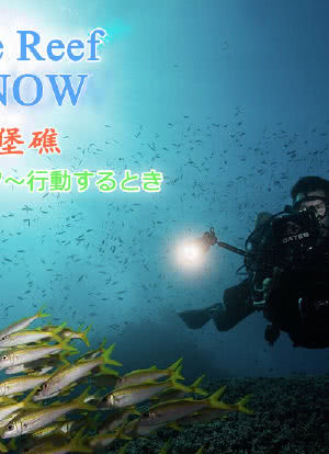 Save the Reef Act Now海报封面图