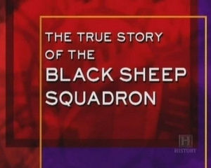 History Undercover: The True Story of the Black Sheep Squadron海报封面图