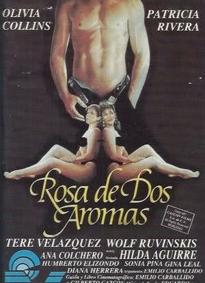 Rosa de dos aromas海报封面图