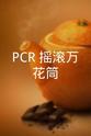 行定勋 PCR：摇滚万花筒