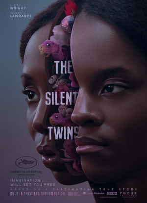 沉默的双胞胎海报封面图