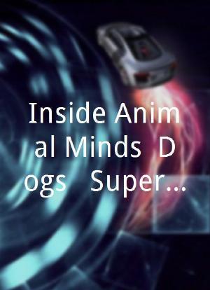 Inside Animal Minds: Dogs & Super Senses海报封面图