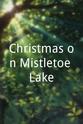 Brandon Ludwig Christmas on Mistletoe Lake