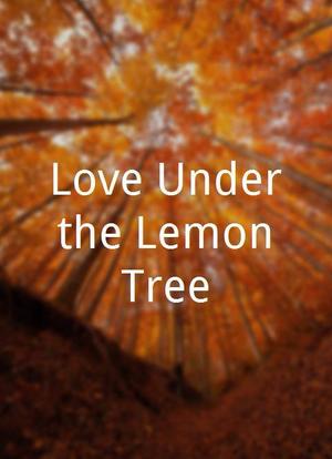Love Under the Lemon Tree海报封面图