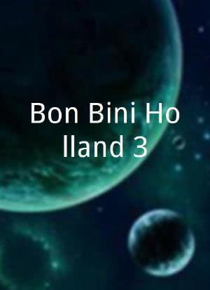 Bon Bini Holland 3海报封面图