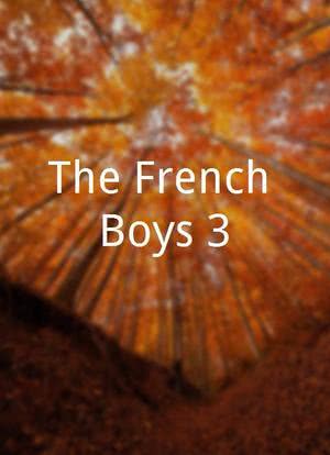 法国男孩3海报封面图