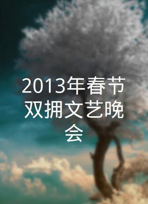 2013年春节双拥文艺晚会海报封面图