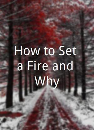 How to Set a Fire and Why海报封面图