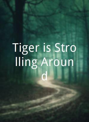 Tiger is Strolling Around海报封面图
