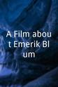 亚斯米拉·日巴尼奇 A Film about Emerik Blum