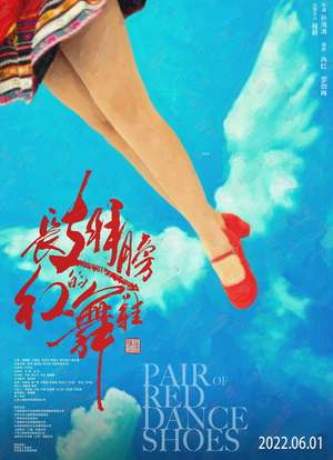 长翅膀的红舞鞋海报封面图