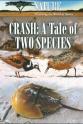 Allison Argo Crash: A Tale of Two Species