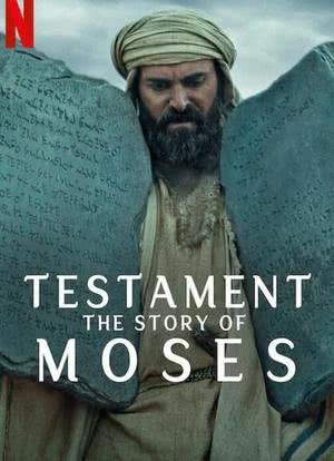圣约之外：摩西的故事海报封面图