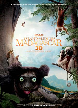马达加斯加：狐猴之岛海报封面图