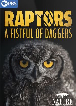 Raptors - A Fistful of Daggers海报封面图