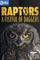 尼扬比·尼扬比 Raptors - A Fistful of Daggers