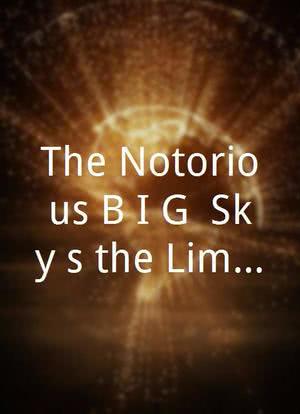 The Notorious B.I.G. Sky's the Limit: A VR Concert Experience海报封面图