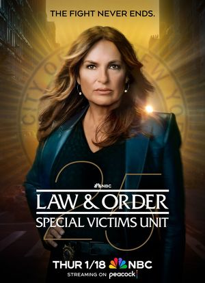 法律与秩序：特殊受害者 第二十五季海报封面图