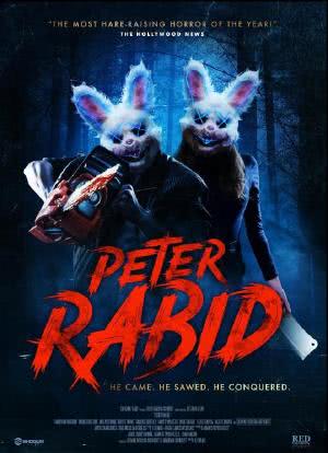 兔兔杀戮海报封面图