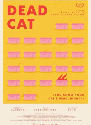 死猫海报封面图
