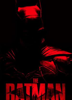 新蝙蝠侠2海报封面图