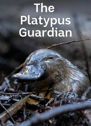 The Platypus Guardian海报封面图