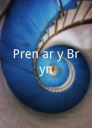 Pren ar y Bryn海报封面图