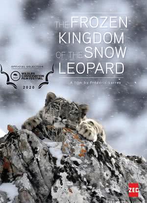 雪豹的冰封王国海报封面图