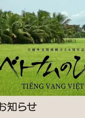 越南之声海报封面图