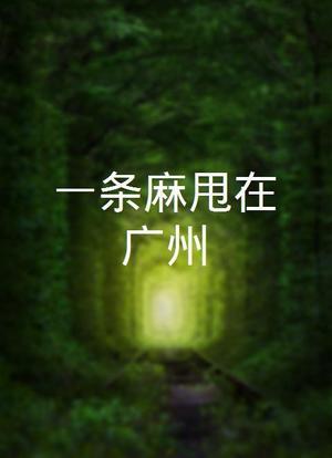 一条麻甩在广州海报封面图