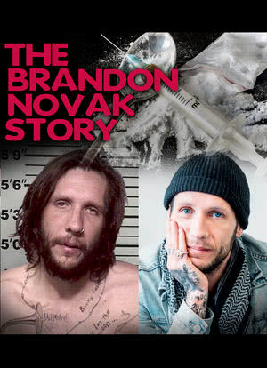 Where Is My Needle?! The Brandon Novak Story海报封面图