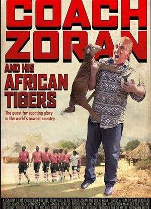 Coach Zoran and His African Tigers海报封面图