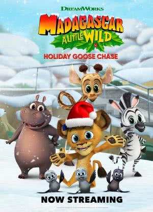 Madagascar: A Little Wild – Holiday Goose Chase海报封面图