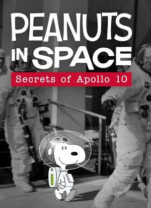 花生在太空：阿波罗十号的秘密海报封面图