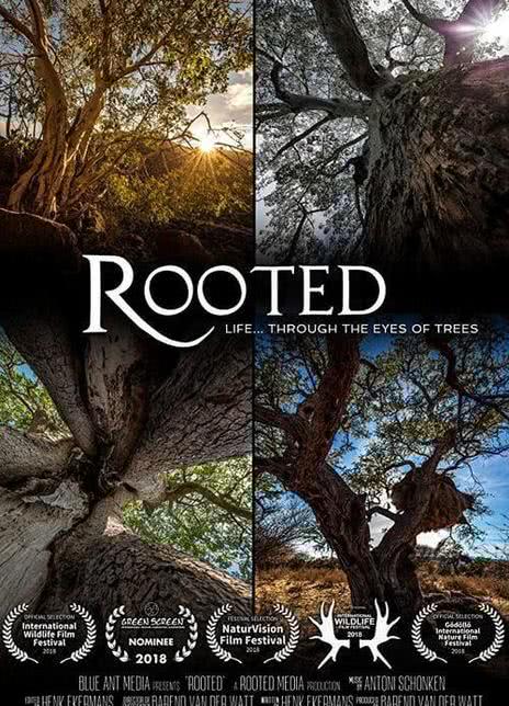 2018南非纪录《生命之树》全集 HD1080P 高清迅雷下载