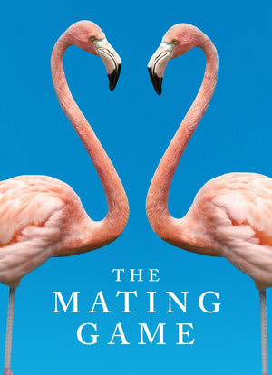 The Mating Game Season 1海报封面图