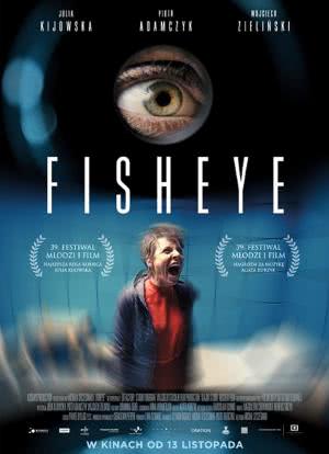 Fisheye海报封面图