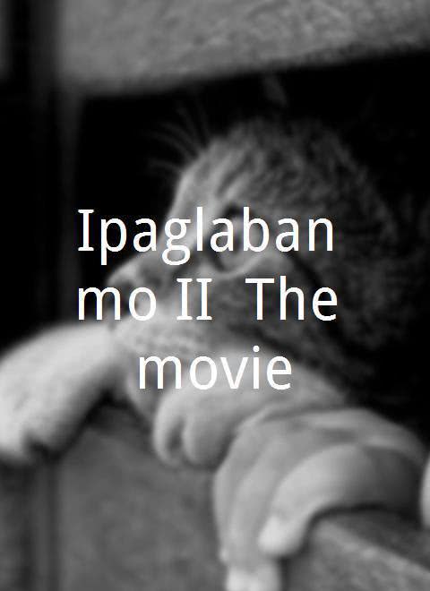 Nante Montreal Ipaglaban mo II: The movie