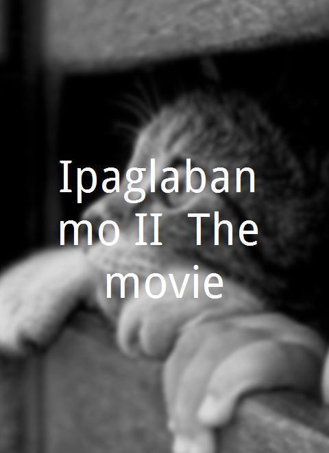 Erwin John Sublay Ipaglaban mo II: The movie